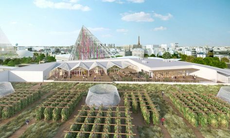 The World’s Largest Urban Farm Is Set to Open in Paris - Modern Farmer Paris Rooftops, Agricultural Development, Urban Agriculture, Urban Farm, Welcome To The Future, Urban Oasis, In Season Produce, Sense Of Place, Urban Farming