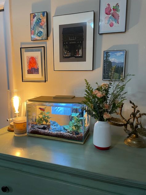 Fish In Room Aesthetic, Room Ideas With Fish Tanks, Pretty Betta Fish Tank Ideas, Fish Setup Ideas, Fish Tank On Dresser, Fish Tank Apartment, Kitchen Fish Tank, Fish Tank In Bedroom Ideas, Fish Tank In Room Aesthetic