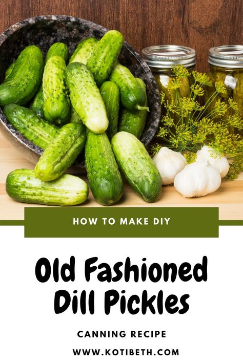 Best Dill Pickle Recipe, Crunchy Dill Pickle Recipe, Crispy Dill Pickle Recipe, Crispy Dill Pickles, Pickles Homemade Easy, Canning Garden, Making Dill Pickles, Refrigerator Pickles Dill, Easy Pickling Recipes