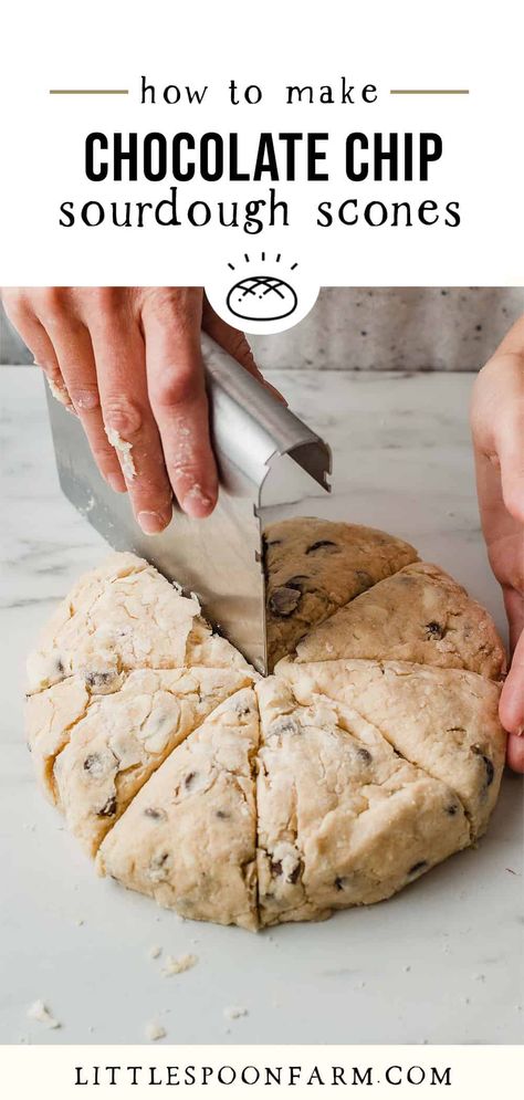 Chocolate Chip Sourdough, Sourdough Scones, Sourdough Starter Discard, Recipe Using Sourdough Starter, Discard Recipe, Dough Starter, Sourdough Starter Discard Recipe, Homemade Sourdough Bread, Bread Starter