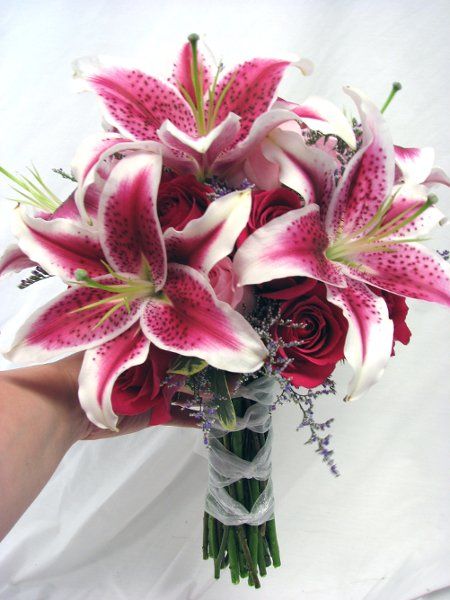 Burgundy Pink Red White Bouquet Fall Spring Summer Winter Wedding Flowers Photos Pictures - WeddingWire.com Stargazer Lily Wedding Bouquet, Red White Bouquet, Stargazer Lily Wedding, Stargazer Lily Bouquet, Purple Bouquets, Bridal Bouquet Pink, Album Wedding, Beach Wedding Flowers, Lily Wedding