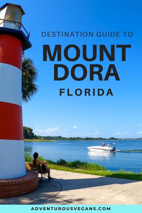 Mount Dora Florida Things To Do, Mount Dora Florida Christmas, Mt Dora Florida, Dora And Friends Into The City, Scary Dora The Explorer, Mount Dora Florida, Dora The Explorer Memes Humor, Florida Trail, Florida Travel Destinations