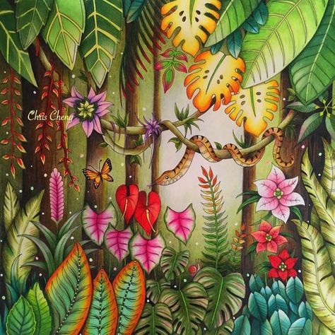 Chris Cheng, Magical Jungle Johanna Basford, Joanna Basford Coloring, Johanna Basford Secret Garden, Enchanted Forest Coloring, Magical Jungle, Lost Ocean, Johanna Basford Coloring Book, Basford Coloring