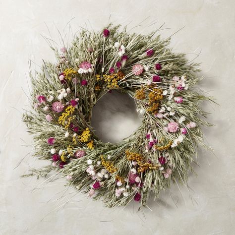 Floral Meadow Door Wreath | Williams Sonoma Live Wreath, Wreaths Design, Herb Wreath, Living Wreath, Floral Meadow, Globe Amaranth, Dried Flower Wreaths, Spring Door Wreaths, Floral Wreaths