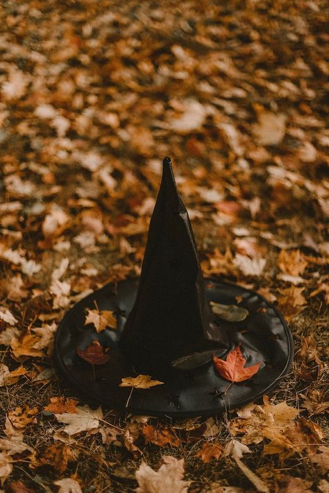 Halloween Imagem, Helloween Wallpaper, Kristina Webb, Photo Halloween, Image Halloween, Halloween Wallpaper Backgrounds, Halloween Photography, Halloween Tattoo, Halloween Silhouettes