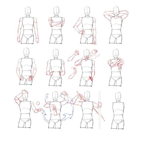 Use these helpful drawing references to draw people in different positions Arm Anatomy, Arm Drawing, Drawing Body Poses, Anatomy Tutorial, Body Reference Drawing, Anatomy Poses, Anatomy Drawing, Figure Drawing Reference, Body Reference