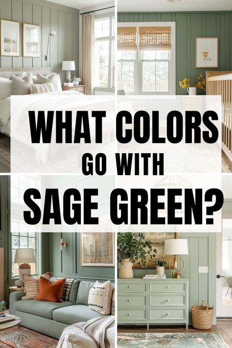 Are you struggling to find what colors go with sage green in the home? Whether you are looking to pair a color with your bedroom, cabinets, walls, living room or even exterior of the home, we've got you covered! Discover the best color combinations to pair with sage green in the home to make your design stand out and look flawless. Sage Green And Accent Colors, Shades Of Green For Living Room, Sage Green Feature Wall Kitchen, Sage And Gold Home Decor, What Colors Go With Sage Green Paint Colours, Sage And Silver Living Room, What Colors Go With Green Walls, Wall Colors That Compliment Sage Green, Sage Colored Furniture