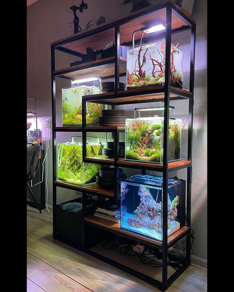 Built In Fish Tank Ideas, Diy Aquascape Aquarium, Fish Tank Bookcase, Aquarium Shelf Ideas, Fish Tank Diy Ideas, Terrarium Interior Design, Fish Display Ideas, Desk Fish Tank Ideas, Fish Tank Shelves