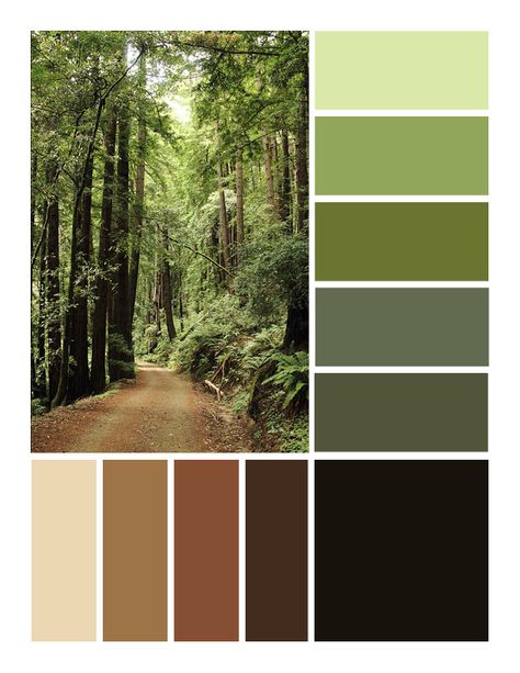 Forest Core Color Palette, Nature Pallete Colour Palettes, Green Interior Design Color Palette, Color Palets Green, Sage Green Brown Color Palette, Natural Green Colour Palette, Greens And Browns Palette, Green Aesthetic Colour Palette, Color Palette From Nature