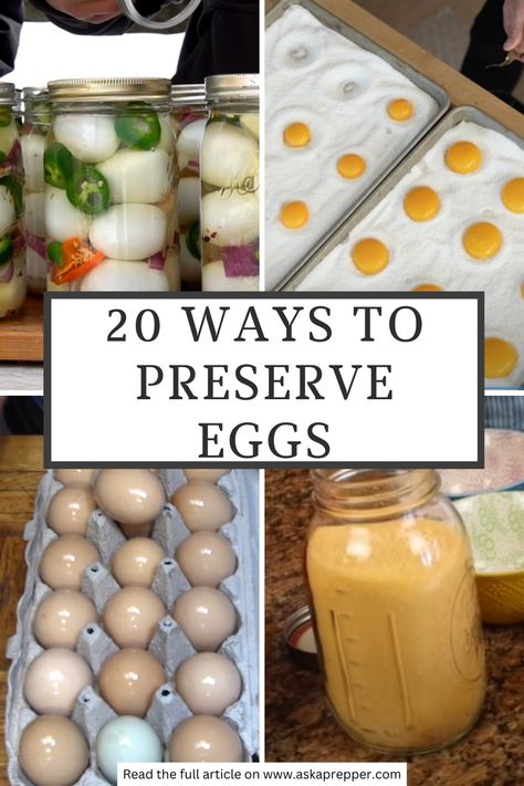 Eggs may not be the first on your list when it comes to survival stockpiles. But in a post-collapse world, you’ll need all the protein, vitamins, and minerals you can get. This is how you can safely preserve eggs to always have a boost of nutrients on hand: Preserve Eggs, Preppers Food Storage, Homestyle Meals, Preserving Eggs, Historical Food, Wild Mushroom Recipes, Homestead Animals, Cured Egg, Prepper Food