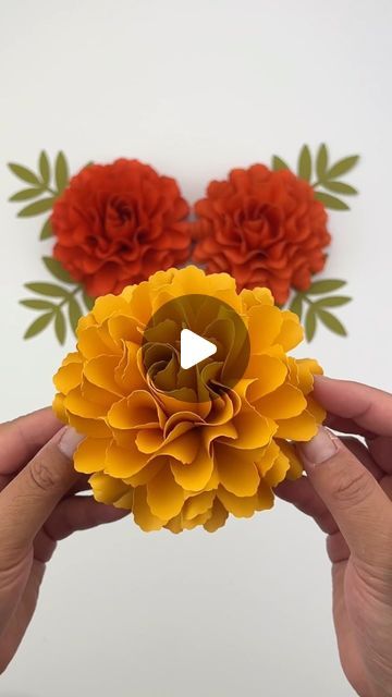 Hey, I’m Judy 👋🏻 Paper Flower Art + Tutorials on Instagram: "One day closer to fall 🍂🍁🍃 And all my marigold plants (started from seed) have bloomed so magnificently! But here’s a look at a paper flower version of marigolds 🥰  My Mini Marigold template is available in my Etsy shop, link in bio!  I am working on a new marigold, something a little bit more realistic looking. In the past I tried to create templates that were more easy to use above all else, but after babying my flower garden all summer, I think I should try for something more realistic looking 🧡  #paperflowers #cricut #cricutmade #teamcricut #cricutcrafts #makeitwithmichaels #makersgonnamake #maker #etsyhandmade #paperart #paperaddict #diy #crafts  #craftersgonnacraft #paperartist #paperflorist #paperflorals #etsyfinds Paper Mums How To Make, Cricut Marigold Flowers, Diy Paper Marigolds, How To Make Dia De Los Muertos Flowers, How To Make Marigold Flowers, Marigold Flower Paper Craft, How To Make Paper Marigold Flowers, Marigold Flower Template, Marigold Paper Flower Template