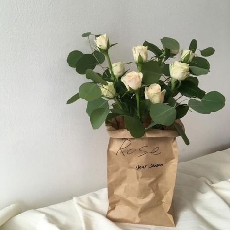 but vase inside the paper bag Cream Aesthetic, No Rain, Beige Aesthetic, Pastel Green, Green Aesthetic, My Flower, Pretty Flowers, Wall Collage, White Roses