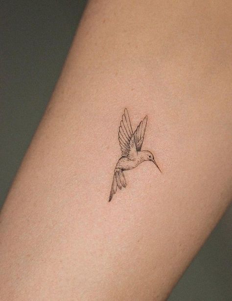 Small Delicate Hummingbird Tattoo, Hummingbird Tattoo Danty, Stick And Poke Hummingbird Tattoo, Small Hummingbird Tattoo Ideas, Hummingbird Bird Tattoo, Dainty Moose Tattoo, Back Tattoo Hummingbird, Elegant Hummingbird Tattoo, Hummingbird Tattoo With Sun