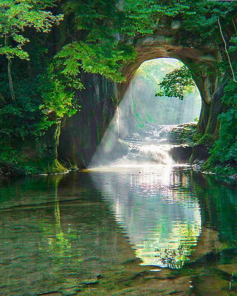 숲 사진, Image Nature, Pretty Landscapes, Fantasy Aesthetic, Nature Aesthetic, Pretty Places, Green Aesthetic, Fantasy Landscape, Travel Aesthetic