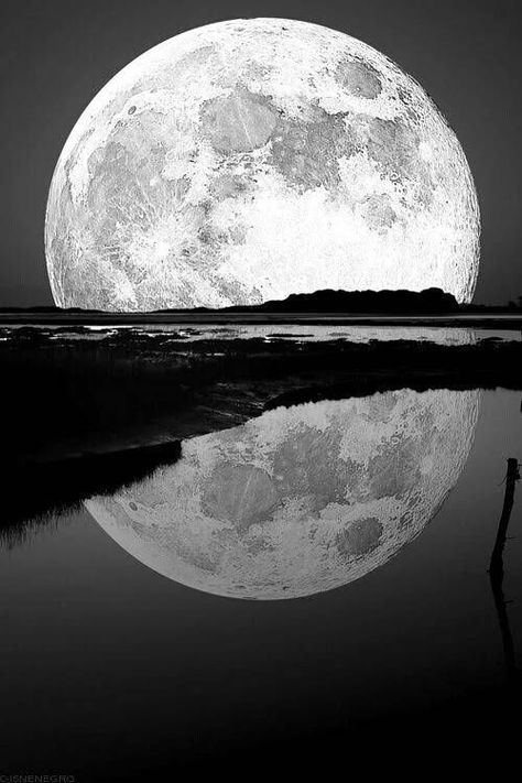 You Are My Moon, Shoot The Moon, Image Nature, Moon Pictures, The Full Moon, Foto Art, Beautiful Moon, Black N White Images, White Picture