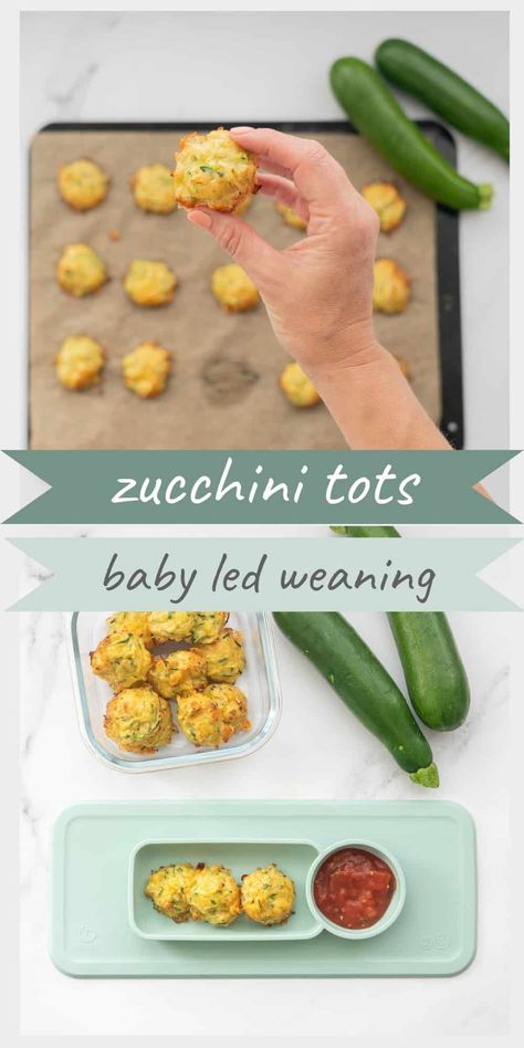 Zucchini Tots, Zucchini Bites, Weaning Foods, Easy Baby Food Recipes, Snack Lunch, Tracker Free, Baby Led Weaning Recipes, Healthy Baby Food, Baby First Foods