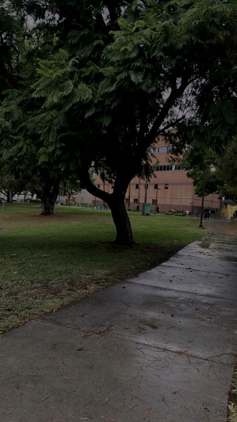 Campus on a rainy day, my favorite path on campus to walk. Through the trees. Definitely gives the PNW vibes but in Southern California. #pnw #southerncalifornia #college #campuslife #rain #rainyday #gloomy Rainy School Day, Pnw Vibes, Gloomy Morning, 2023 Party, Romanticizing School, Rainy Morning, On A Rainy Day, Monday Blues, A Rainy Day