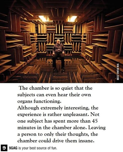 The world’s quietest room Anechoic Chamber, Sensory Deprivation, Quiet Room, Hodge Podge, Nerdy Things, Fascinating Facts, Marmalade, Sound Proofing, Interesting Facts