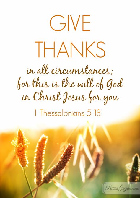 1 Thessalonians 5:16-18 (NKJV) ~~ Rejoice always, pray without ceasing, in everything give thanks; for this is the will of God in Christ Jesus for you. Give Thanks In All Circumstances, Feeling Unappreciated, Woord Van God, In Everything Give Thanks, Thankful Quotes, 1 Thessalonians 5, Ayat Alkitab, 1 Thessalonians, Thanksgiving Quotes