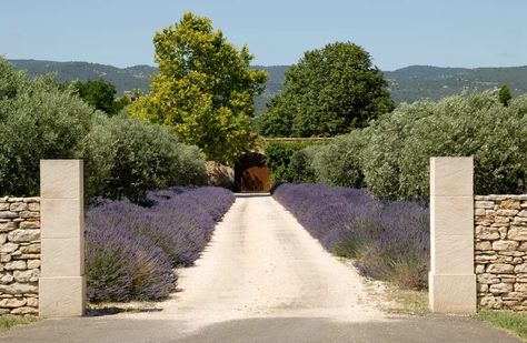 20 Driveway Entrance Ideas to Boost Your Curb Appeal Driveway Entrance Ideas, Driveway Entrance Landscaping, Drought Tolerant Trees, Farm Entrance, Asphalt Driveway, Courtyard Entry, Front Walkway, Driveway Entrance, Entrance Ideas