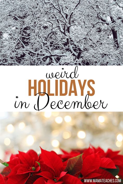 Fun Days In December, Holidays In December, Christmas Fun Facts, December Themes, Christmas Traditions Kids, September Holidays, Silly Holidays, National Christmas Tree, Wacky Holidays