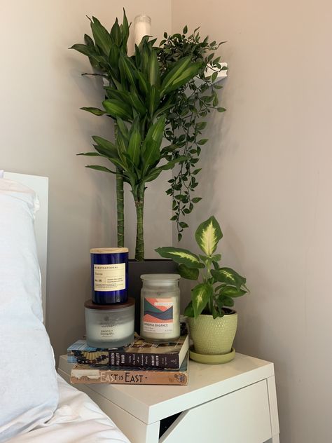 Dorm With Plants, Aesthetic Room Items, Cute Bedroom Decor Items, Bedside Plants, Plants In Bedroom Aesthetic, Flowers In Bedroom, Succulent Bedroom, Plant Room Ideas, Dorm Plants