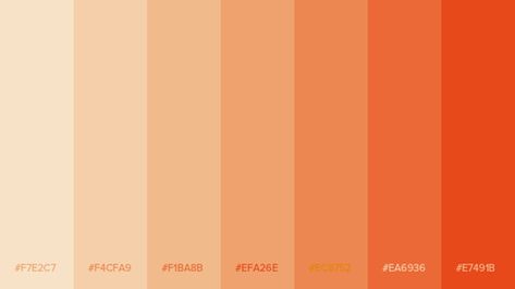 Pastel Orange Hex Code, Tangerine Color Palette, Rgb Color Codes, Orange Palette, Color Design Inspiration, Orange Color Palettes, Hex Color Palette, Color Palette Challenge, Color Schemes Colour Palettes