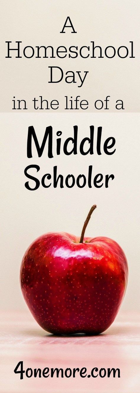 What does it look like to homeschool middle school?  Check out how we do it with three middle schoolers @4onemore.com  #homeschool #dayinthelife #schedule Homeschool Daily Schedule, Biblical Homeschooling, Homeschool Adventures, Middle School Curriculum, Homeschool Middle School, Homeschool Routine, Christian Moms, Homeschool Tips, How To Start Homeschooling