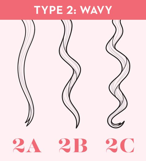 curly type 2 Types Of Hair Texture, Wavy 2c, Type 2 Hair, Hair Type Chart, 2a Hair, Type Chart, Wavy Hair Care, Wavy Ponytail, Curly Hair Types