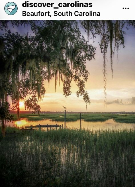 Nature, Rio De Janeiro, Regional, Southern Aesthetic, South Carolina Coast, South Carolina Lowcountry, Pawleys Island Sc, Edisto Beach, Charleston Travel