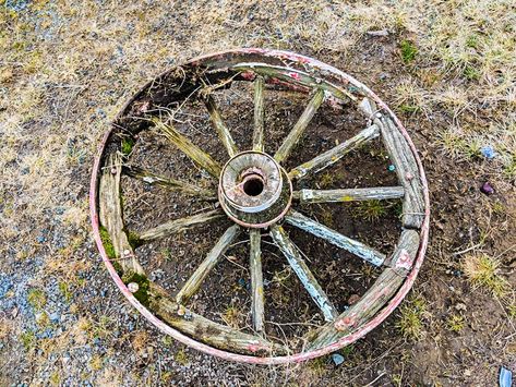 Wagon Wheel Ideas Diy Projects, Steel Wagon Wheel Ideas, Old Wheel Ideas, Wagon Wheel Decor Indoor, Metal Wagon Wheel Ideas, Old Wagon Wheel Ideas, Wagon Wheel Decor Outdoor, Wagon Wheel Garden, Vintage Wagon Wheel