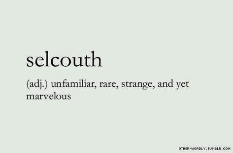 Words Definitions, Phobia Words, Describe Feelings, Words To Describe Someone, Unique Words Definitions, Words That Describe Feelings, Uncommon Words, Poetic Words, Fancy Words