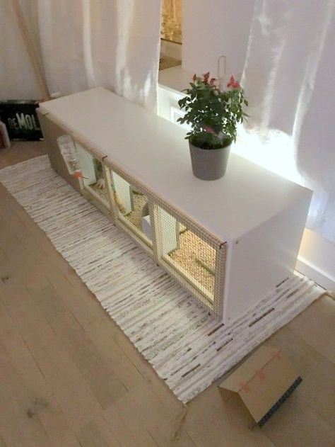 I just got myself a bunny and when looking for bunny cages, I didn’t find anything interesting or a setup that would fit into my interior. So I had the idea of making one myself using the Ikea Kallax Diy Bunny Cage, Indoor Rabbit House, Diy Rabbit Cage, Rabbit Hutch Indoor, Indoor Rabbit Cage, Diy Rabbit Hutch, Diy Guinea Pig Cage, Rabbit Enclosure, Bunny Hutch