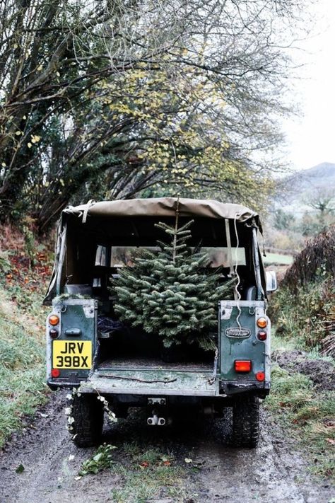 Christmas Tree Smell, Countryside Life, Car Leasing, English Christmas, Christmas Cottage, Real Christmas, Real Christmas Tree, Cottage Christmas, Christmas Inspo