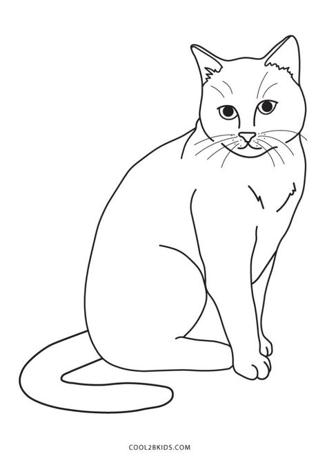 Free Printable Cat Coloring Pages For Kids Printable Cat Coloring Pages, Cat Colouring, Owl Coloring, Cat Coloring Pages, Rock Animals, Cat Template, Colorful Hairstyles, Cat Outline, Cats Art Drawing