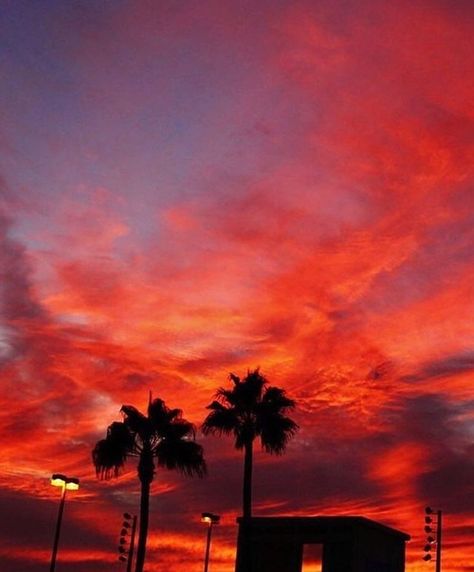 This sunset us so aesthicially pleasing Hydrangea Landscaping, Red Aesthetic Grunge, Red Sunset, Orange Aesthetic, Sun Sets, Sunset Wallpaper, Pretty Sky, Aesthetic Colors, Sunset Pictures