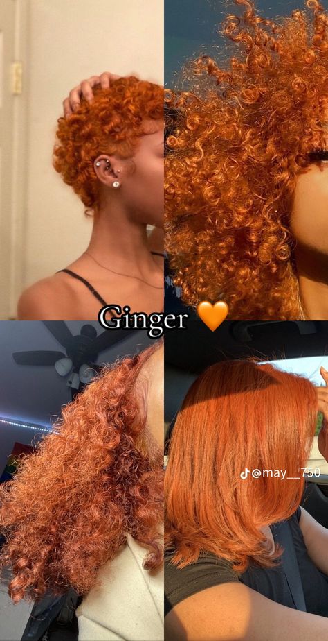 Ginger Black Women Natural Hair, 360 Hair Color, Cute Color To Dye Hair, Hi Color Hair Dye, Mixed Hair Dye Ideas, Hair Color Inspo Natural, Light Skin Hair Dye Ideas, Different Dyed Hair Colors, Darker Hair Dye Ideas