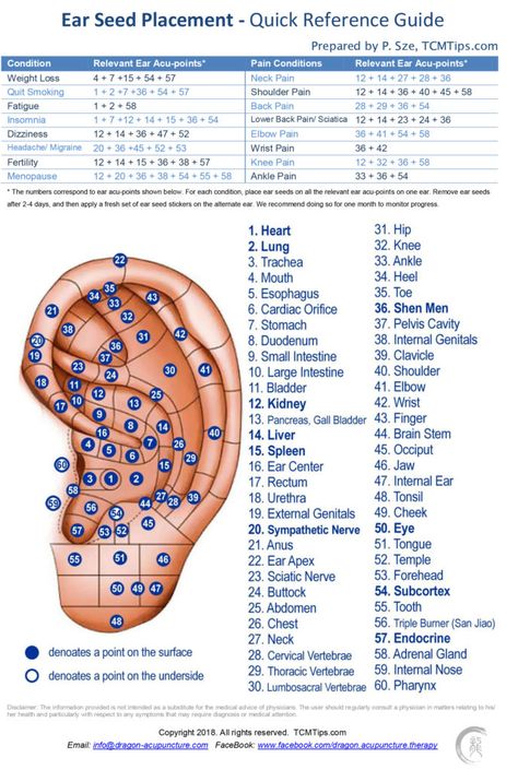 Get FREE Ear Seed Placement Cheat Sheet  * 60 essential auricular points * Placement for 16 common conditions * Condensed… Ear Seeding Chart, Eat Seed Placement, Ear Acupuncture Chart, Ear Seeds Placement Chart, Ear Seed Placement, Ear Acupressure Points, Auricular Acupuncture, Ear Acupressure, Ayurvedic Lifestyle