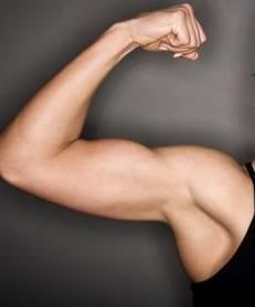 Arm Above Head Reference, Forearm Reference Photography, Arms Art Reference, Arms Reference Photography, Flexing Arm Reference, Raised Arm Reference, Arm References Photos, Muscular Arm Reference, Strong Arms Women