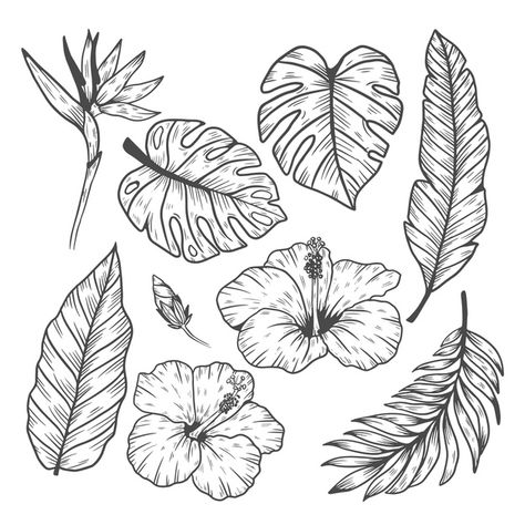 Tropical leaf and flower collection | Free Vector #Freepik #freevector Tropical Flower Tattoos, Jungle Thema, Leaf Outline, Plant Tattoo, Soyut Sanat Tabloları, Flower Collection, Leaf Drawing, Desenho Tattoo, Plant Drawing