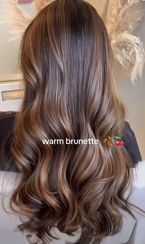 Toned Down Balayage, Brown Carmel Honey Hair, Brown Highlights With Money Piece, Black Hair With Brunette Highlights, Brown Balyage Long Hair Brunettes, Highlights Brown Hair With Layers, Brunette With Highlights Caramel, Morenita Hair Color, Brown Sugar Highlights