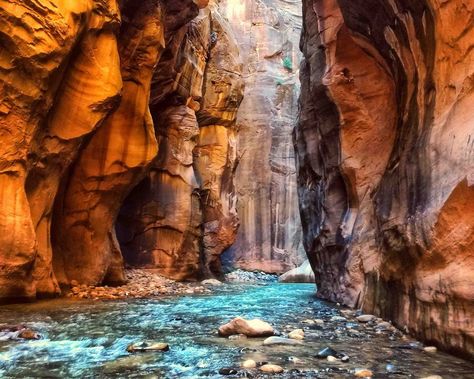 The Narrows, Zion National Park is one of the most iconic hikes in the world. The trail is almost entirely through water up the Virgin River in a deep gorge with high red sandstone walls. Naturally, the hike is quite dangerous and can't hiked sometimes. We answer all the questions you need to know before you go: when can I hike the Narrows? What should I pack to hike the Zion Narrows? Everything you need to know about this bucket list adventure see here #zionnationalpark #utah #adventure #hiking Zion Narrows Hike, Zion National Park Photography, Narrows Zion National Park, The Narrows Zion, Utah Bucket List, Zion National Park Hikes, Hiking The Narrows, Utah Road Trip, National Parks Photography