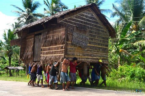 In the Philippines, people moves houses...literally:) Culture Of The Philippines, Philippine Traditions, Kare Kare, Filipino Art, Philippines Culture, Filipino Culture, Philippines Travel, Weird Pictures, Moving House