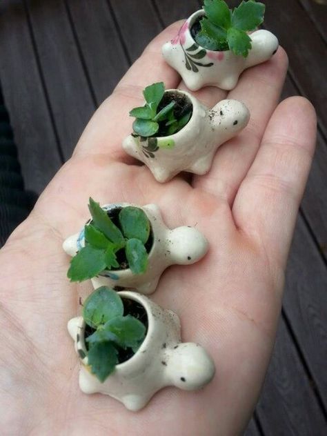 Tiny Pots, Diy Keramik, Clay Diy Projects, Tanah Liat, Keramik Design, Clay Art Projects, Cute Clay, Ceramics Ideas Pottery, Amazing Diy