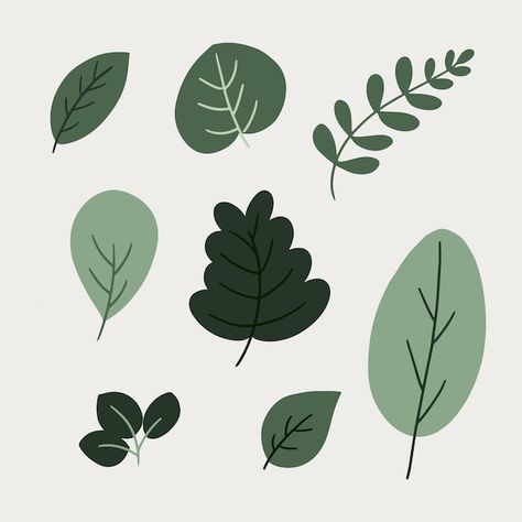 Set of handdrawn leaves | Premium Vector #Freepik #vector #illustrations #green-illustration Leave Illustration, Leaf Graphic Design, Leaf Vector Illustration, Print Making Designs, Textile Motifs, Leaf Geometric, Leaves Drawing, Leaf Graphic, Leaves Clipart