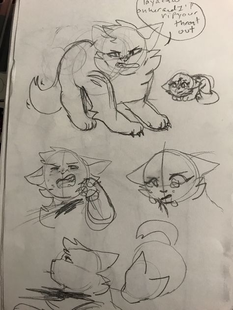 Feral References, Warrior Cat Oc Art, Cat Oc Art, Cat Eye Drawing, Cat Paw Drawing, Cat Hand Drawing, Cat Drawings Simple, Oc Doodles, Cat Sketches