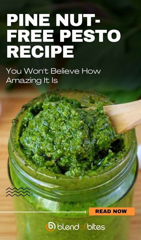 Pesto is such a lifesaver in the kitchen. It goes well with many dishes, be it pasta, pizza, potatoes, or chicken. It also does wonders for your average sandwich. Most pesto includes pine nuts, which is not good if you are allergic to nuts or do not like their taste. This pesto recipe without pine nuts is here to save the day. Pesto Recipe Without Pine, Greek Lentil Soup Recipe, Pizza Potatoes, Easy Pesto Recipe, Fresh Basil Recipes, Nut Free Pesto, Homemade Pesto Recipe, Pine Nut Recipes, Basil Recipes