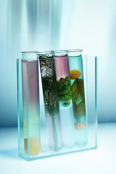 Science Of Food, Lab Aesthetic, Chemistry Art, Speculative Design, Biology Art, Food Lab, Molecular Gastronomy, Food Science, Amazon Best Sellers