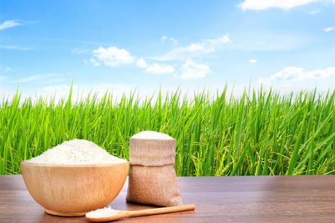 Jasmine rice in wooden bowl and sackclot... | Free Photo #Freepik #freephoto #food #vintage #texture #leaf Organic Rice Packaging, Ig Design, Vintage Wooden Desk, Rice Plant, Rice Packaging, Thai Rice, Food Vintage, Green Rice, Creative Birthday Cards