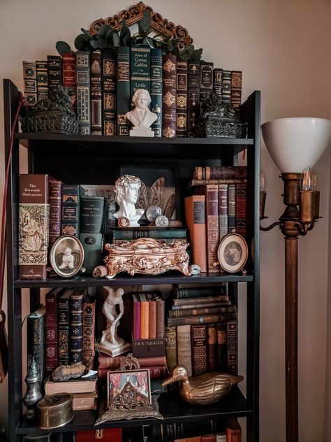 #bookish #darkacademia #darkcottagecore #bookshelf #darkacademiadecor #victorian #vintage Bookshelf Styling Vintage, Library Bedroom Aesthetic, Academia Bookshelf, Dark Academia Bookshelf, Dark Academia Room Ideas, Library Bedroom, Dark Academia Decor, Dark Home Decor, Goth Home